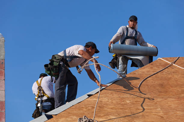 Best Metal Roofing Contractor  in Hayesville, OR